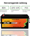 NOEIFEVO 3.5KWh 51.2V 70AH LiFePO4 Lithium Akku Batterie , 80A BMS,mit 58,4V 20A wasserdichtem Ladegerät